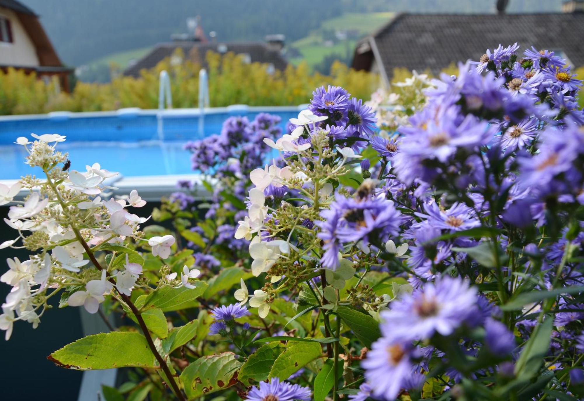 Appartchalet La Rondula โอติเซ ภายนอก รูปภาพ