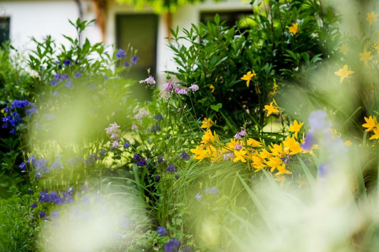 Appartchalet La Rondula โอติเซ ภายนอก รูปภาพ